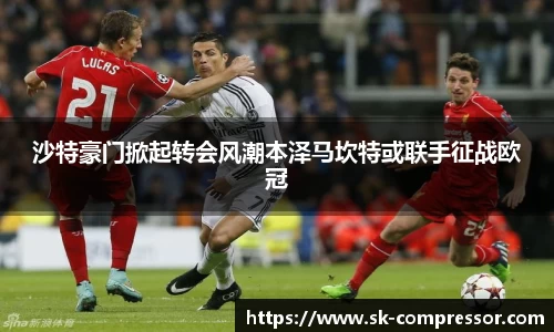 DG视讯
